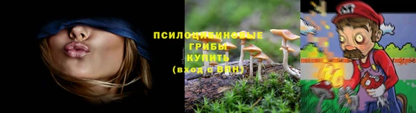 а пвп мука Верея