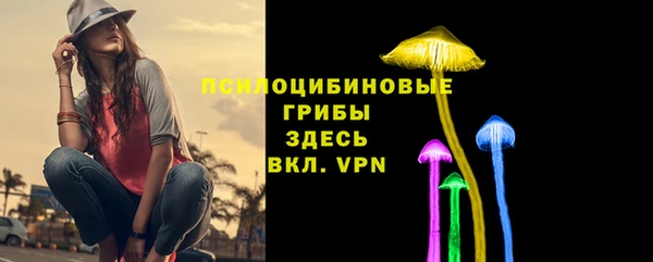 ешки Верхний Тагил