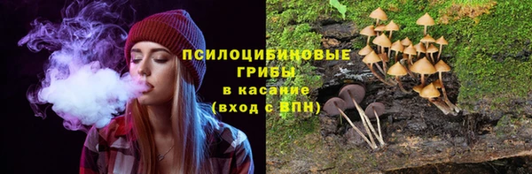а пвп мука Верея
