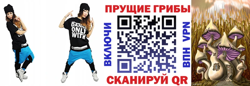 Псилоцибиновые грибы Psilocybe  магазин продажи   Набережные Челны 